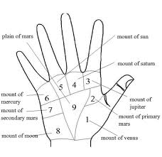 Learn Hindi Palmistry | INDIAN PALM READING - ASTROLOGY